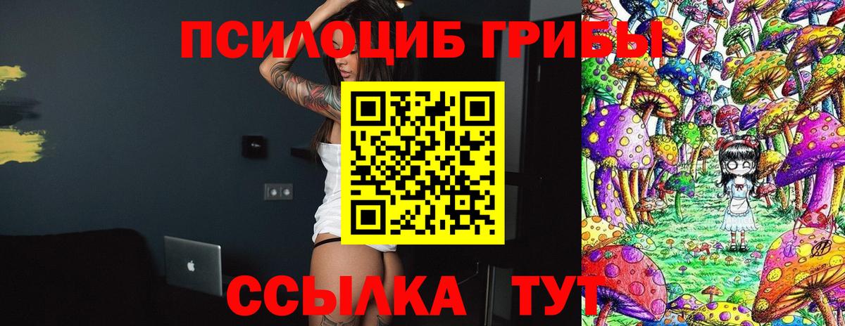 Галлюциногенные грибы MAGIC MUSHROOMS  Галлюциногенные грибы Psilocybine cubensis  Белово  Вход с VPN 